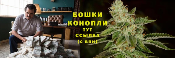 прущие крисы Балахна